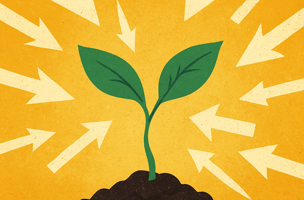 Why Rejection Is Career Fertiliser