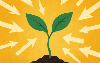 Why Rejection Is Career Fertiliser